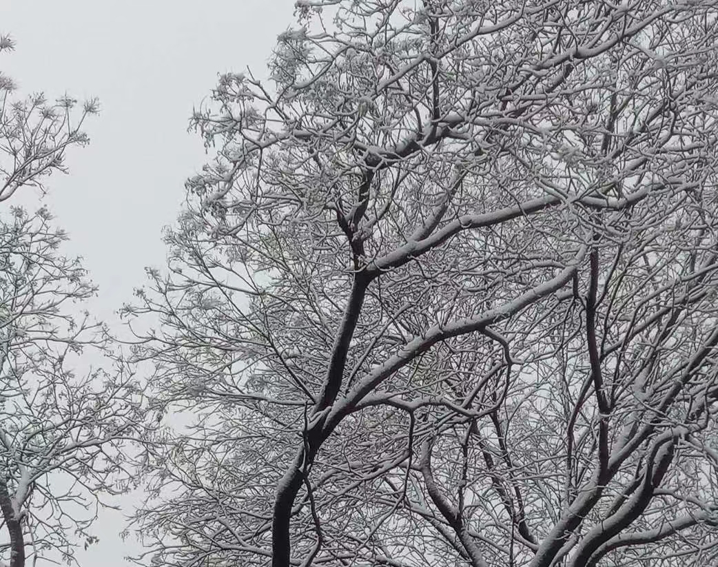 64b84426253118c9fb2501ec4c4cb12.jpg 64b84426253118c9fb2501ec4c4cb12.jpg