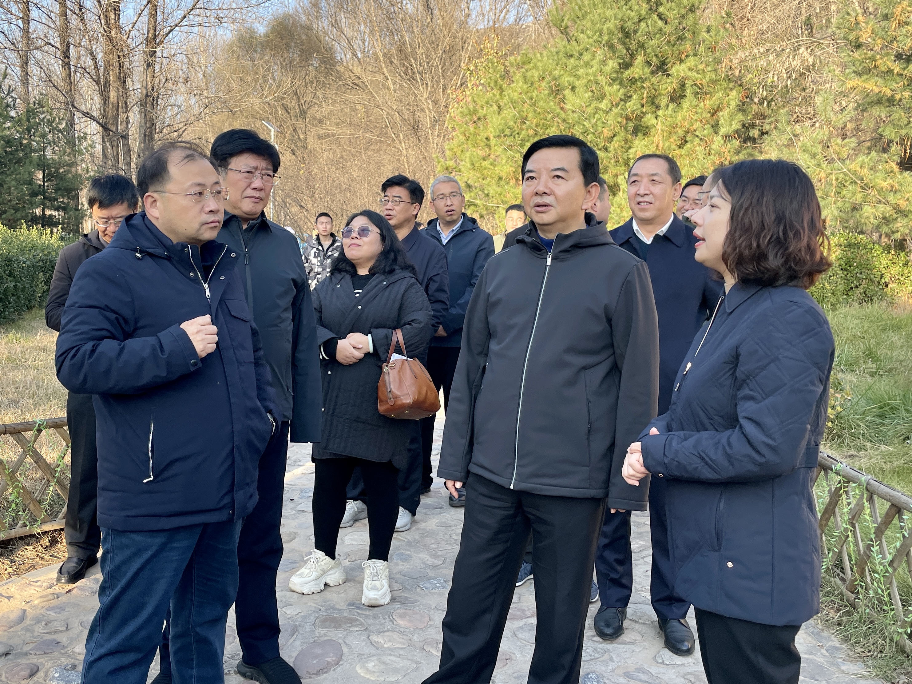 吴小华在我区调研