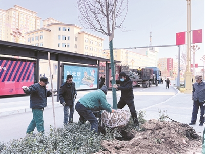 百余棵海棠树为城市添景色