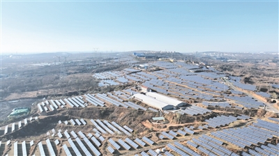 任和村：探索多元化发展 助力乡村振兴