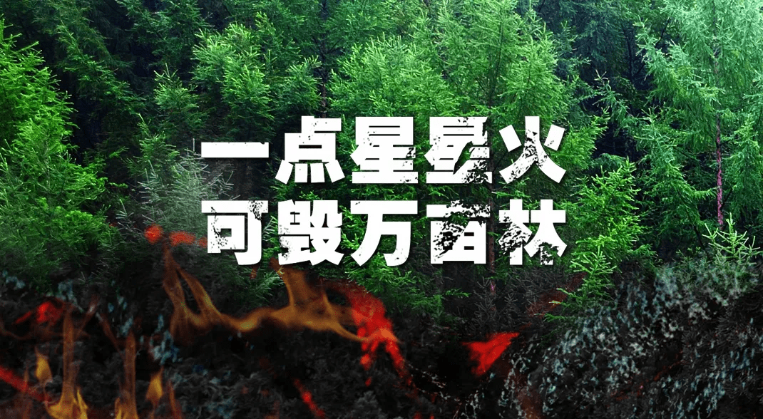 如遇森林火灾  我们该如何逃生？