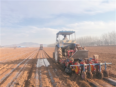 冬播谷种下新希望