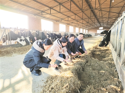 区农业农村局： 积极做好防寒指导 确保畜禽安全越冬