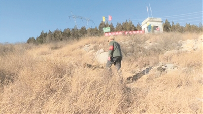 守好青山 护好森林