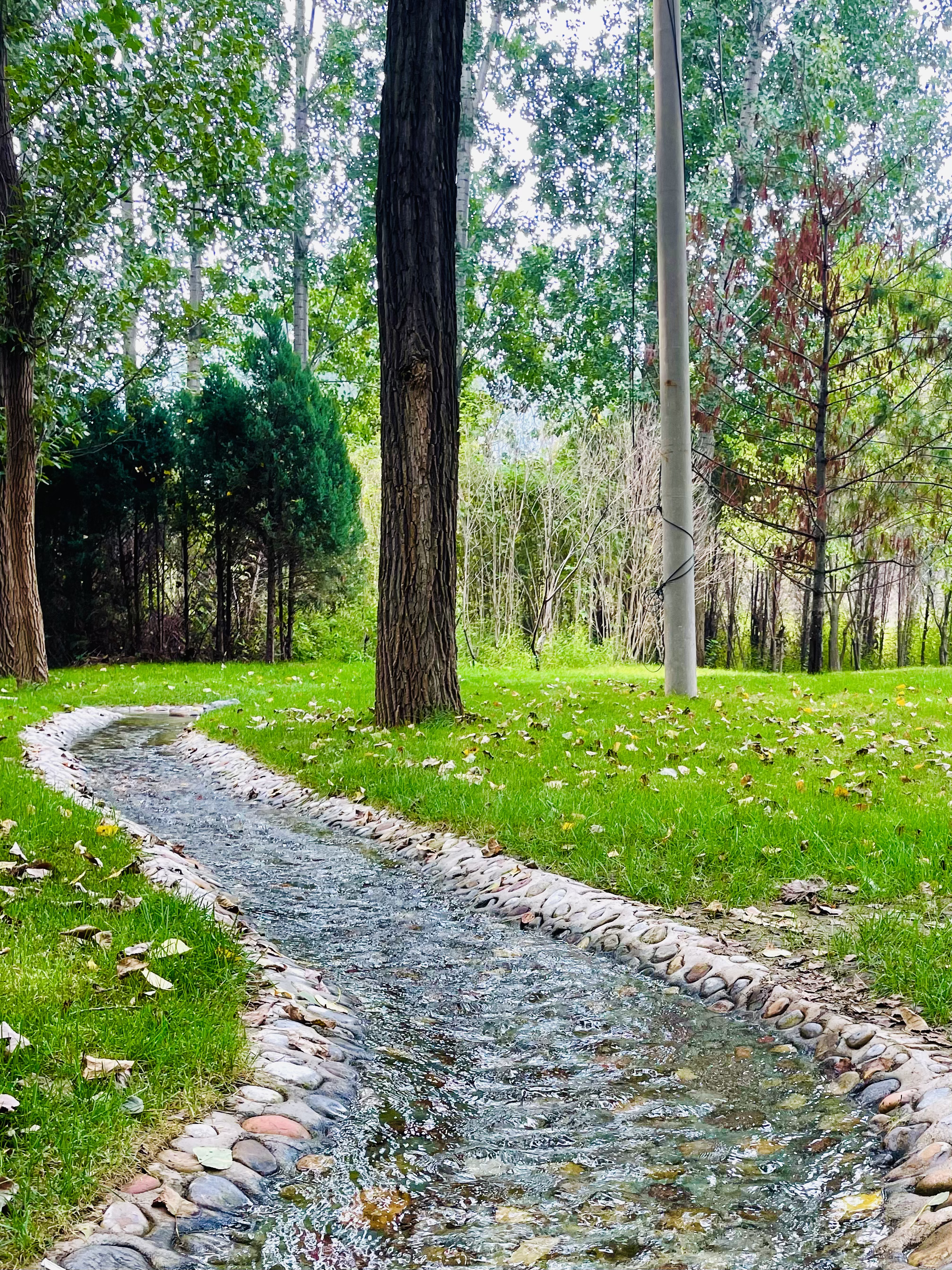 生态治理：“两山”理论在实践