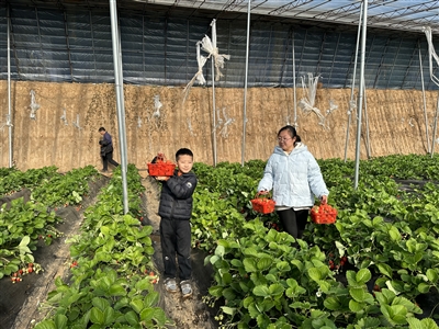 一起采摘“莓”好时光