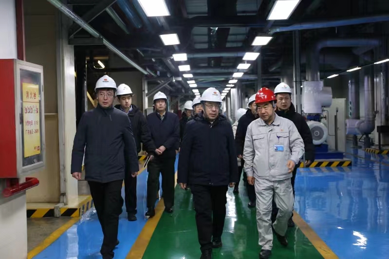 崔元斌在我区调研