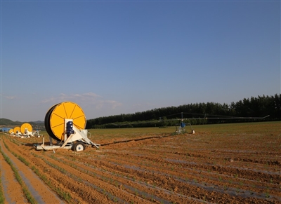 成家川街道： 谋发展 促振兴 齐心共绘乡村和美新画卷
