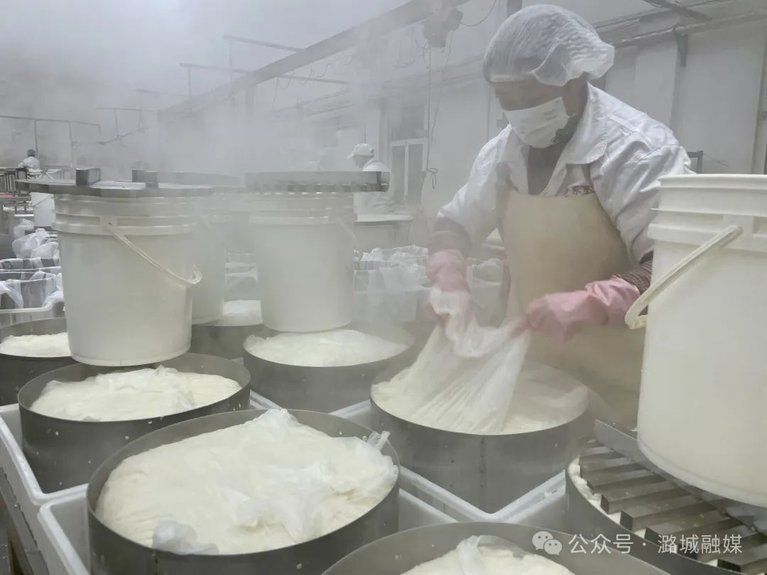 豆腐飘香年味浓