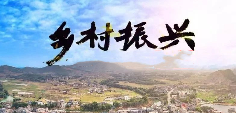 [乡村行 看振兴] 蹚出一条山区乡村振兴之路