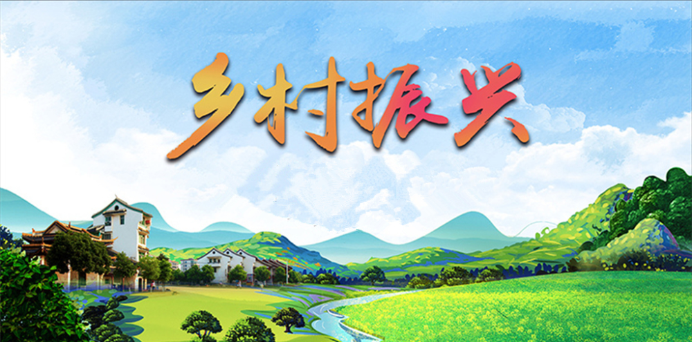 黄牛蹄乡：股份经济联合总社 助力集体经济“乘风破浪”