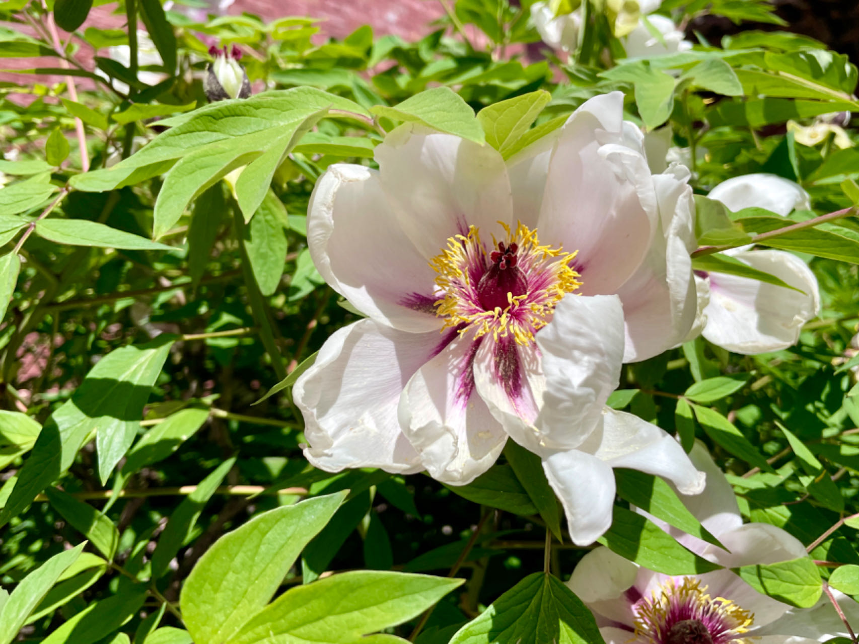 f533ab43e47926916ce8281ea903f29.jpg f533ab43e47926916ce8281ea903f29.jpg