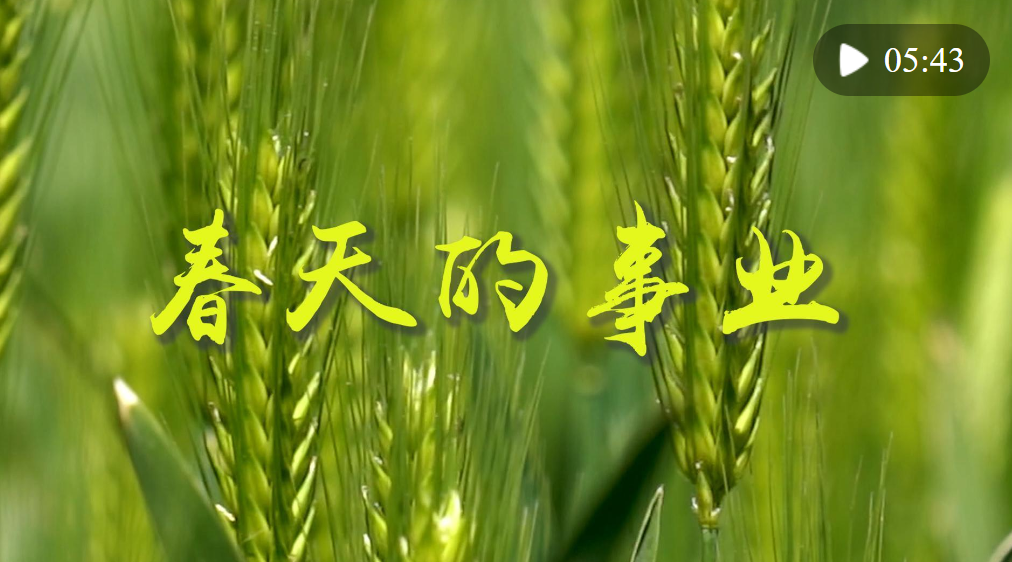 图片.png 图片.png