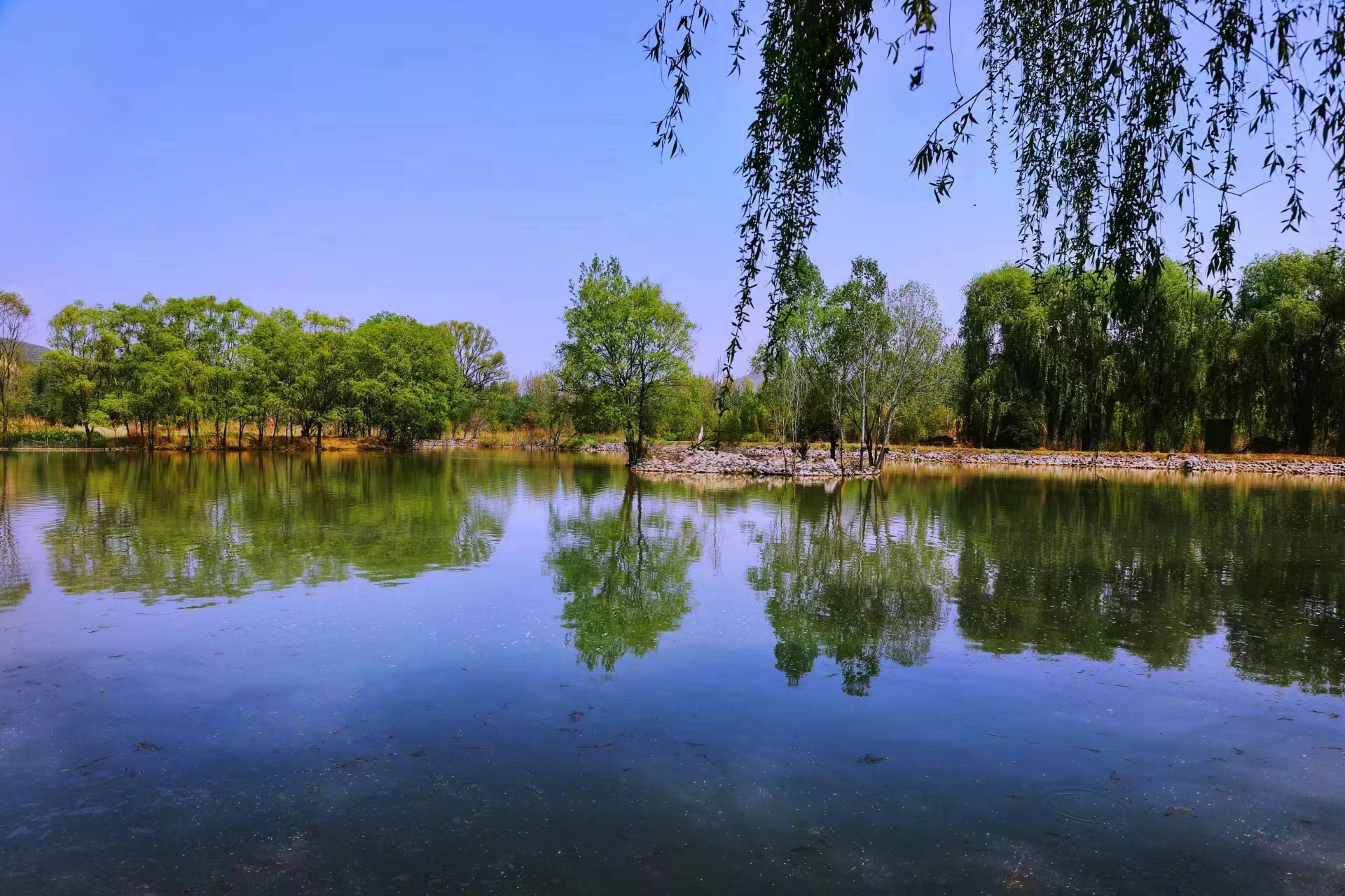 93b7557623c9b5d7f15095b024470ff.jpg 93b7557623c9b5d7f15095b024470ff.jpg