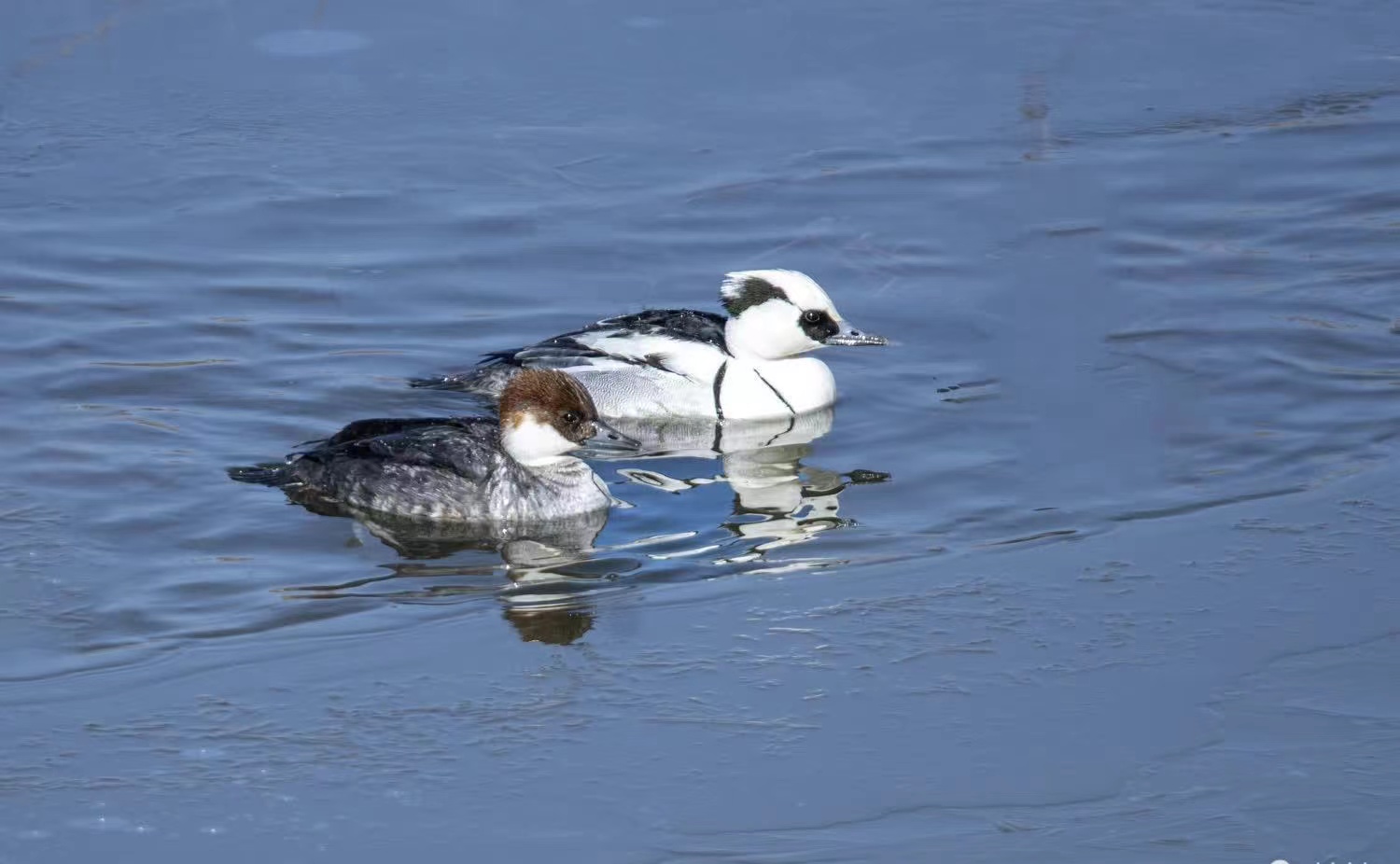 9cb233f557066d19531d2bcec51d582.jpg 9cb233f557066d19531d2bcec51d582.jpg