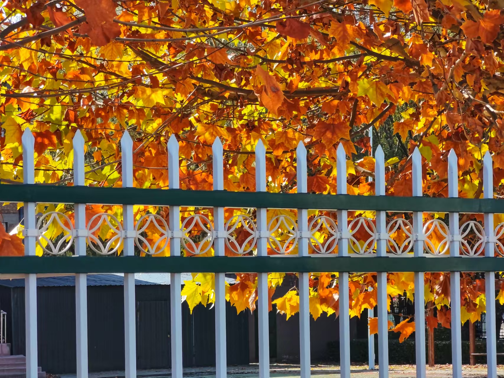 2a1f345ba6cbc87e530c1b35edc38cb.jpg 2a1f345ba6cbc87e530c1b35edc38cb.jpg