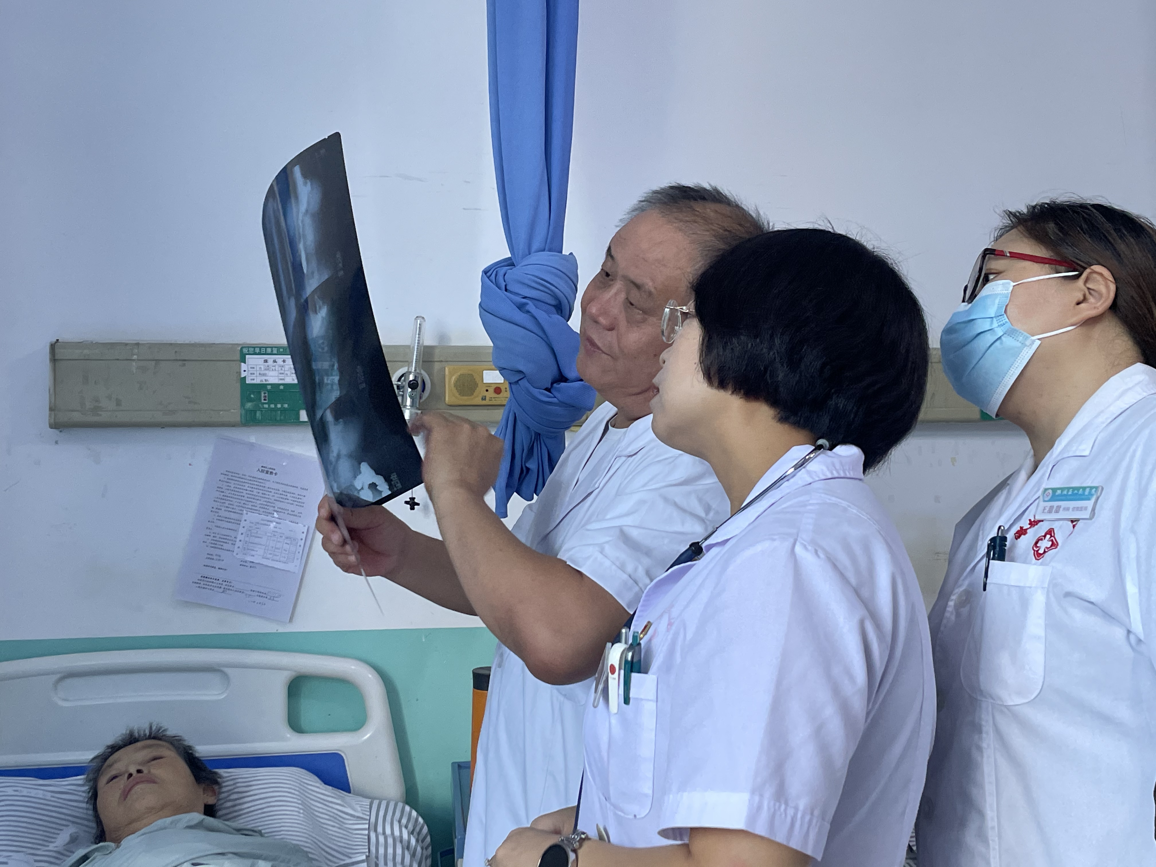 民生为重枝叶情