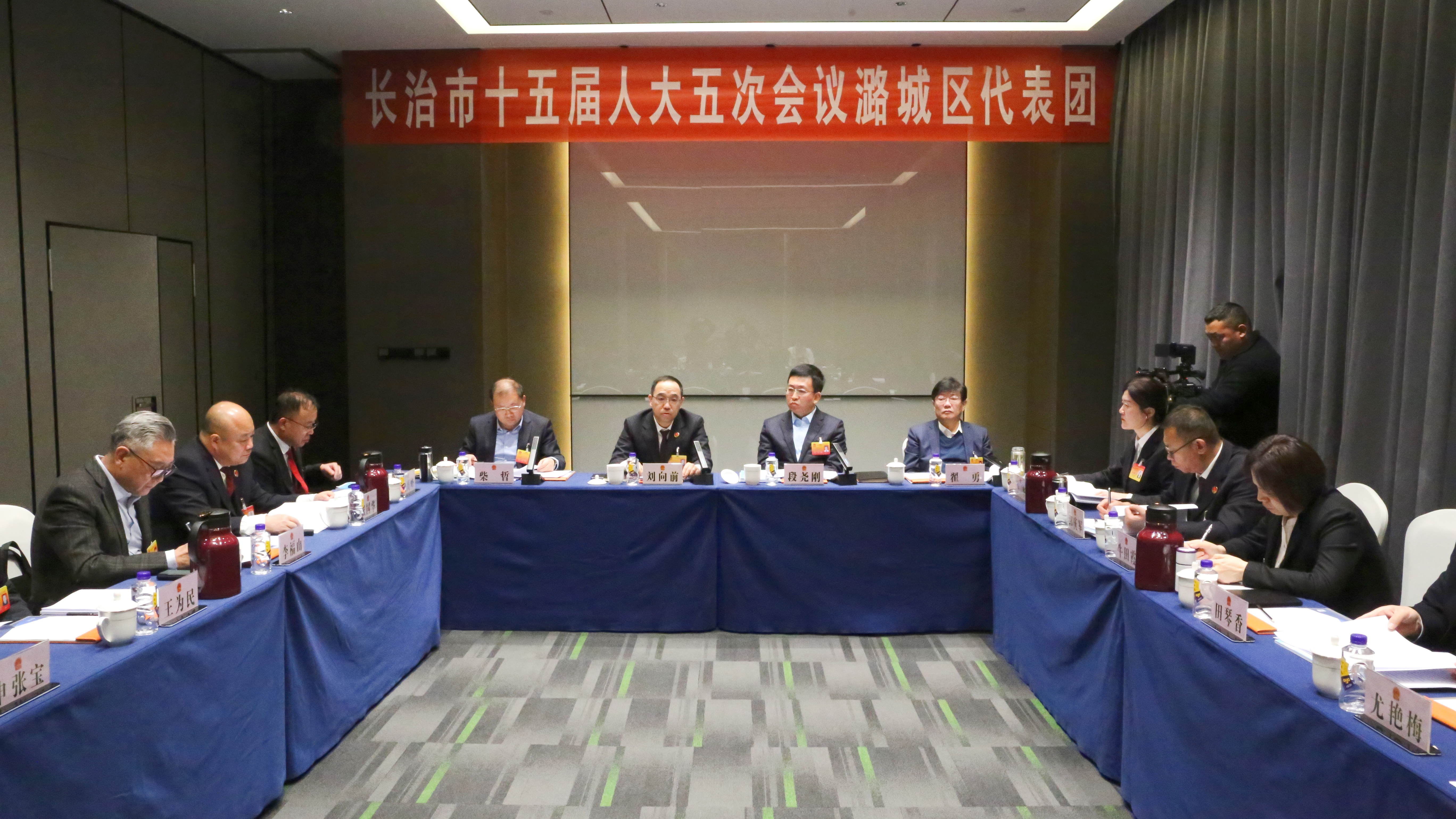 我区代表团审议市政府工作报告