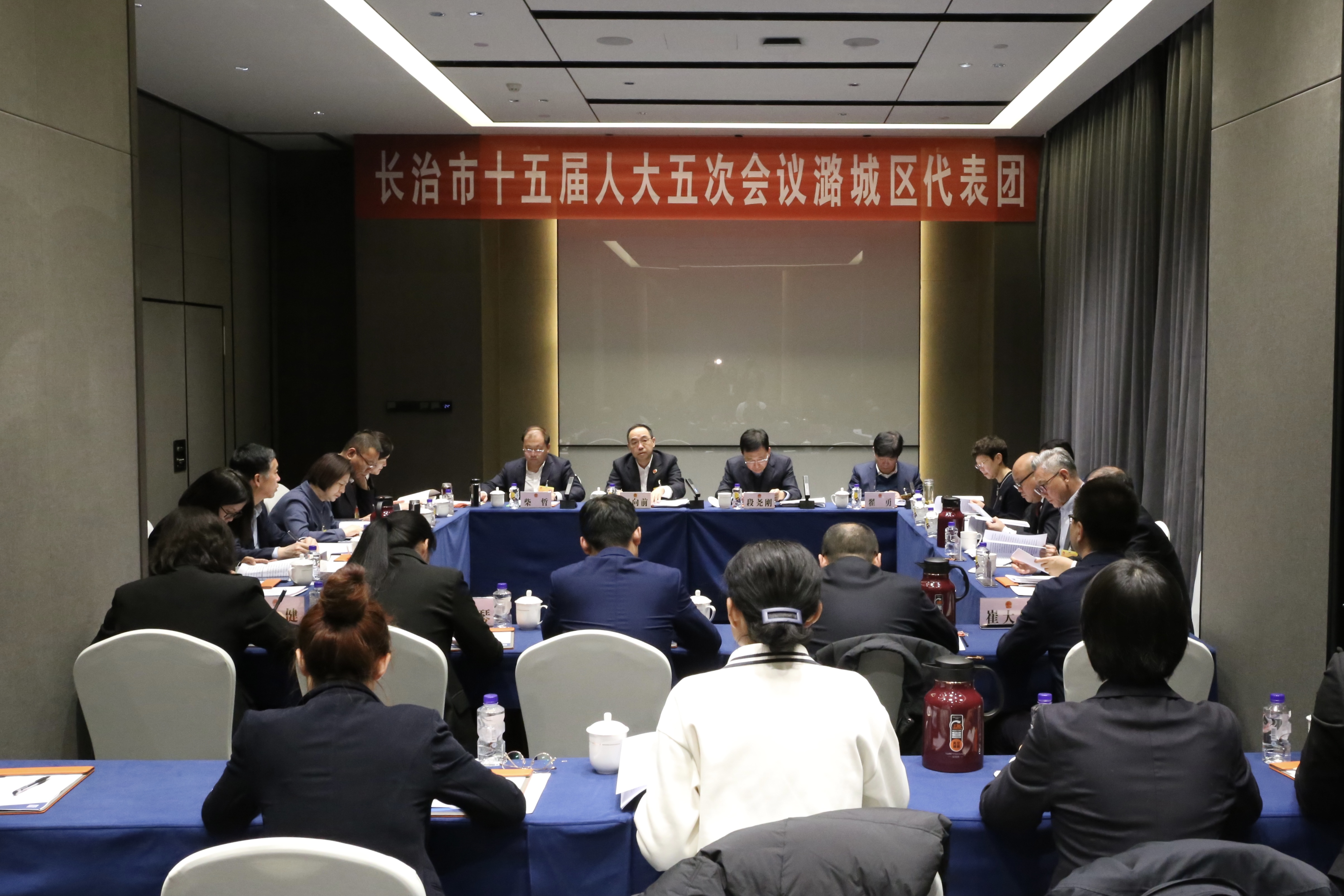 我区代表团审议市大人常委会和法、检“两院”工作报告