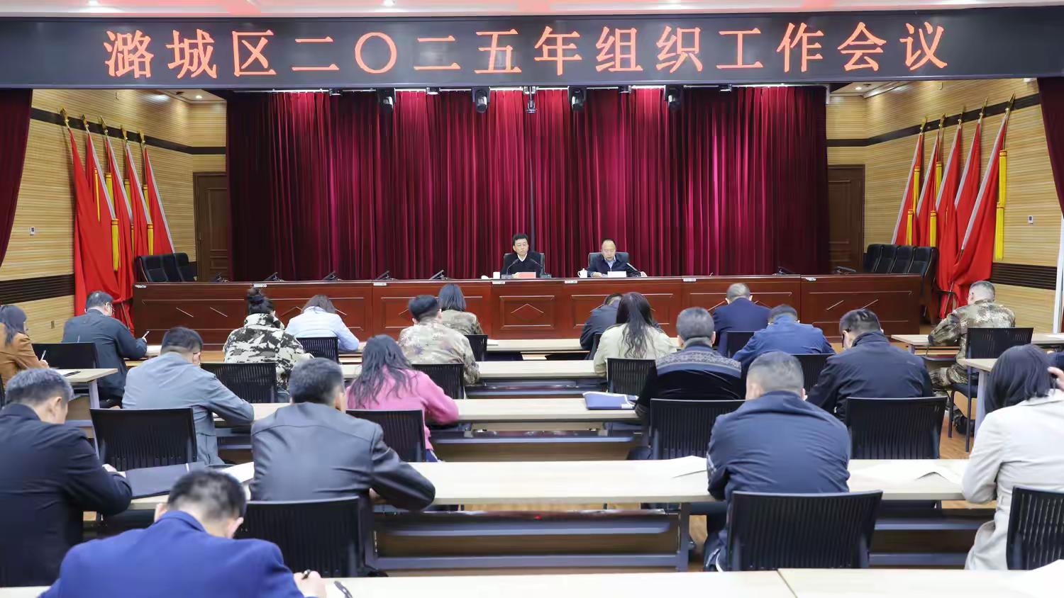 全区2025年度组织工作会议召开