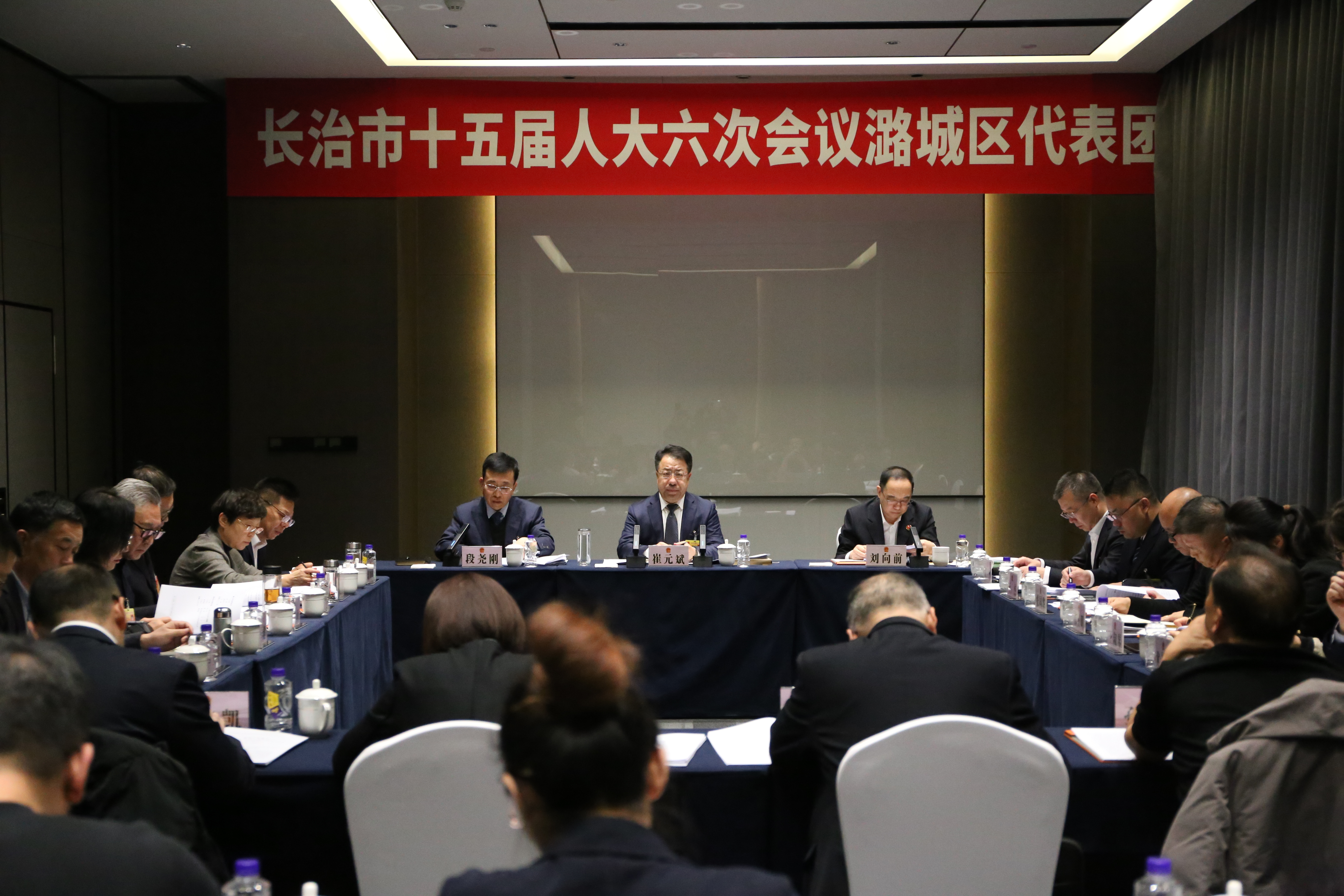 我区代表团审议市政府工作报告