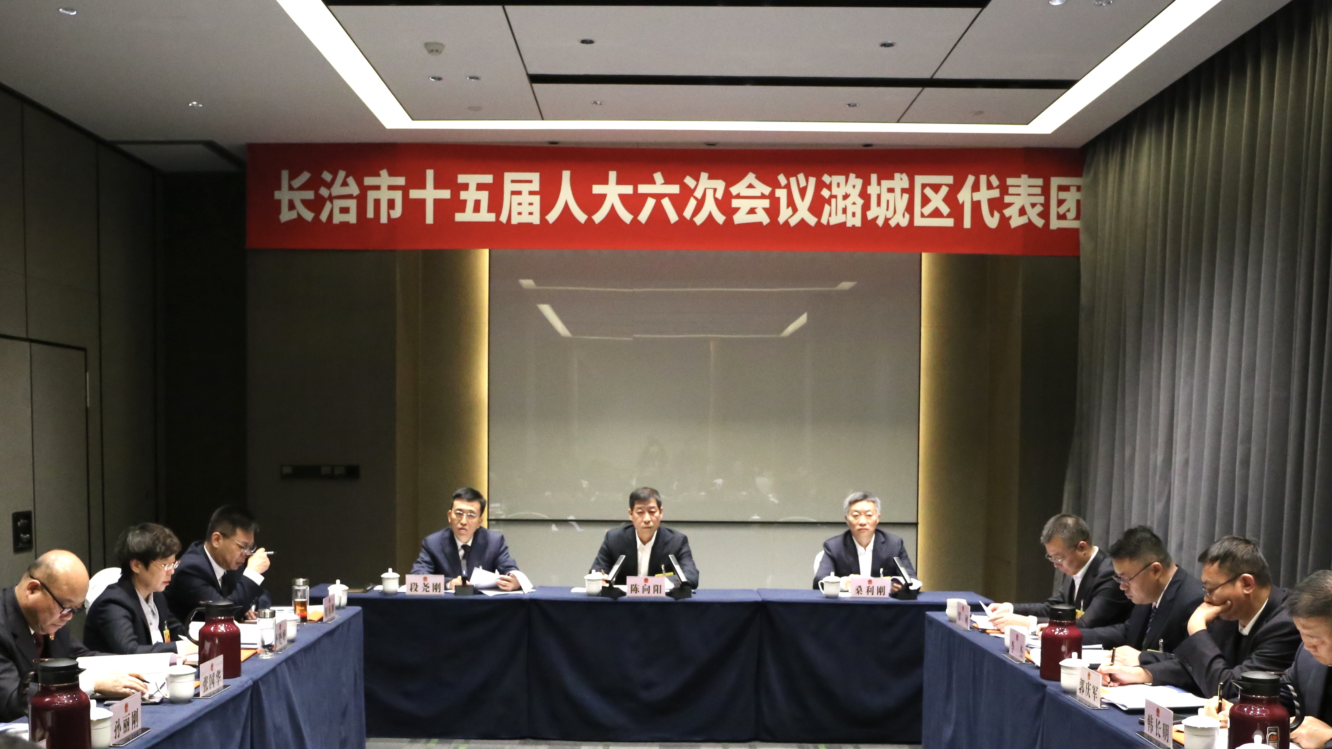 市委副书记、市长陈向阳在潞城区代表团参加审议